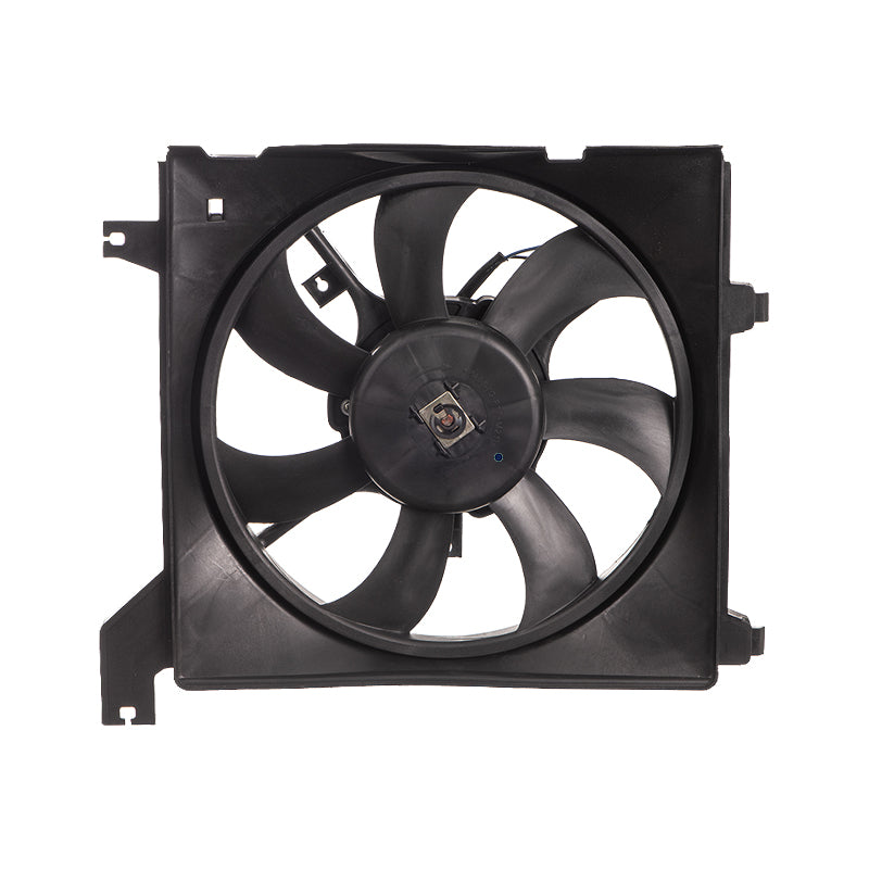 Radiator Cooling Fan - Ef100 (Beta) | Top-Rated Vehicle Accessories at ...